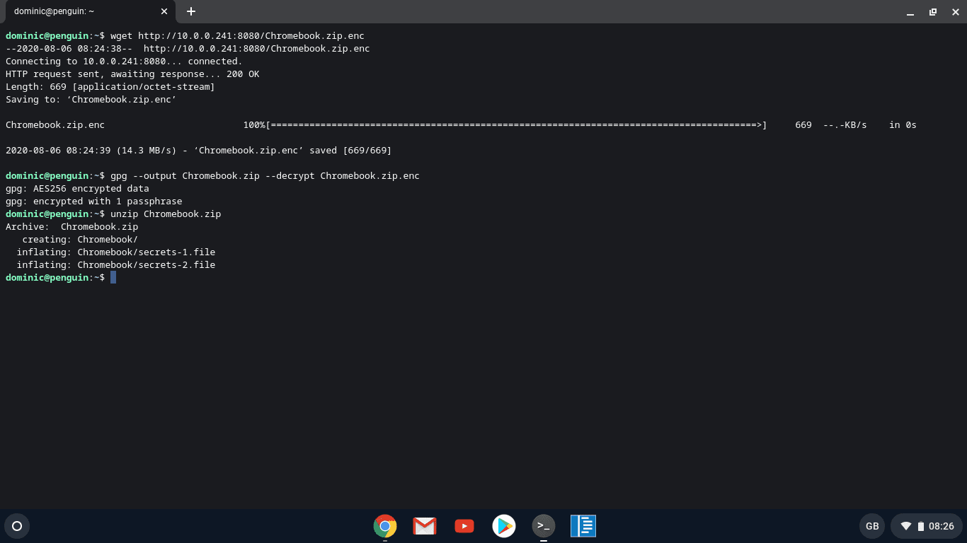 Chromebook Terminal Screenshot