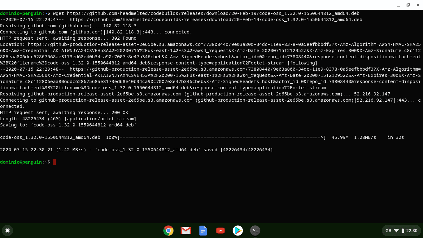 Terminal 'wget' VS Code Download Link Screen
